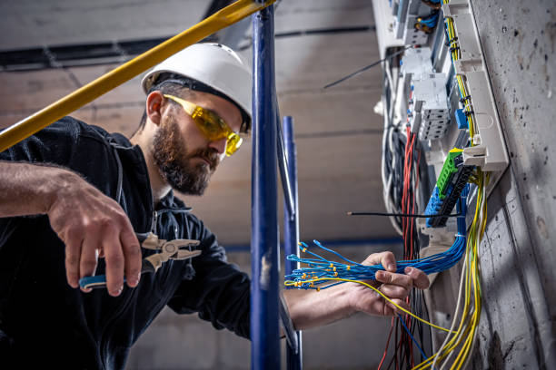 Best Home Electrical Repair  in Fabrica, TX