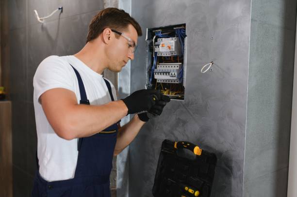 Best Electric Panel Repair  in Fabrica, TX