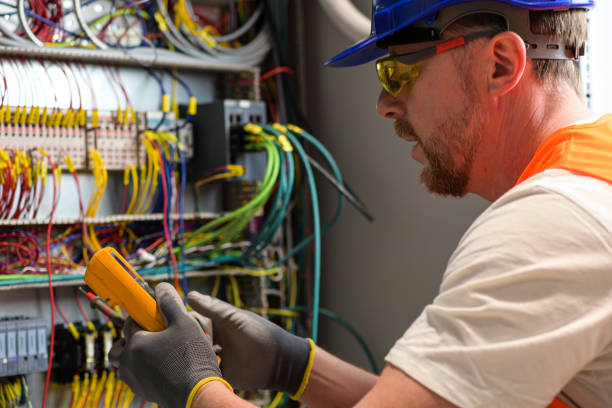 Best Electric Panel Repair  in Fabrica, TX